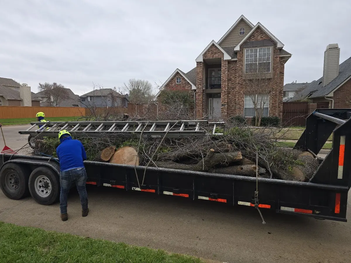 Expert Tree Removal with proper safety equipment in Mccordsville